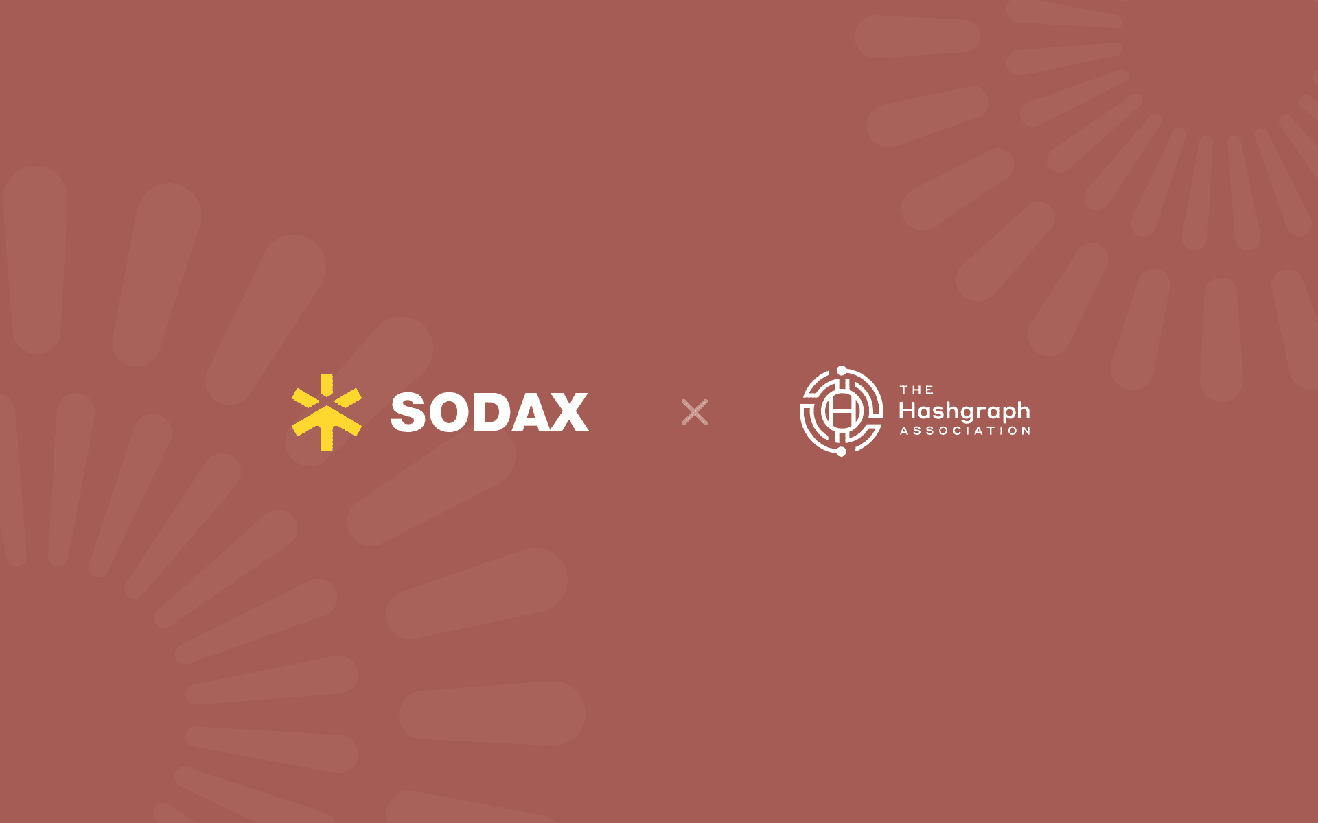 SODAX joins The Hashgraph Association